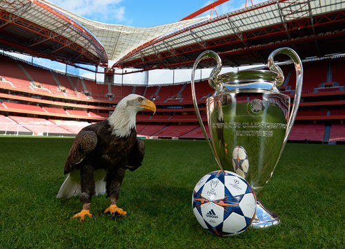 将迎告别战！林加德：踢完墨尔本城之后，我可能会流泪（告别在即！林加德：战罢墨尔本城或难掩泪水）